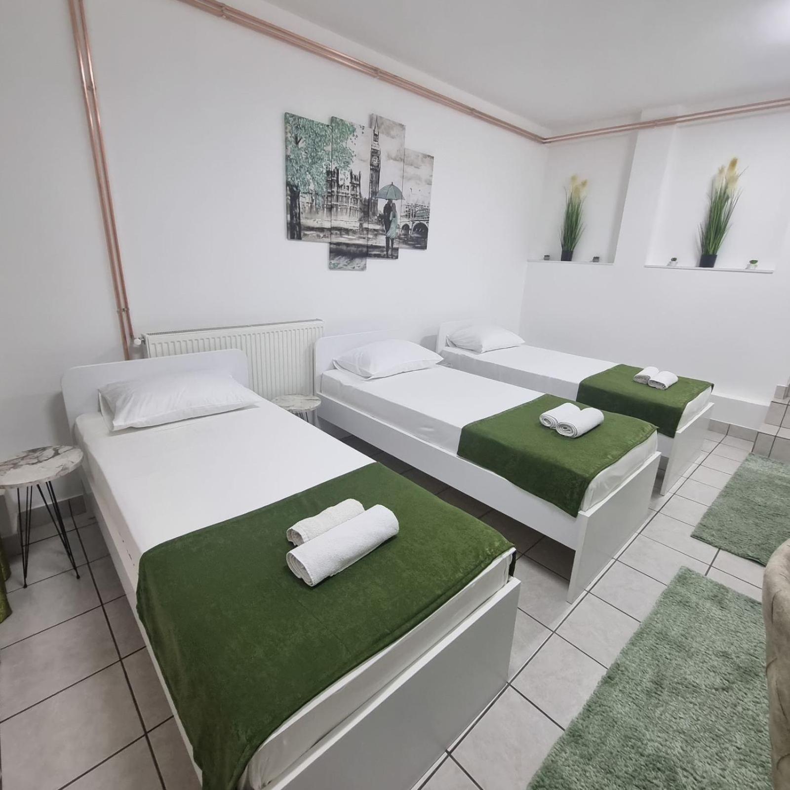 Family Apartmani Le Leskovac  Kültér fotó