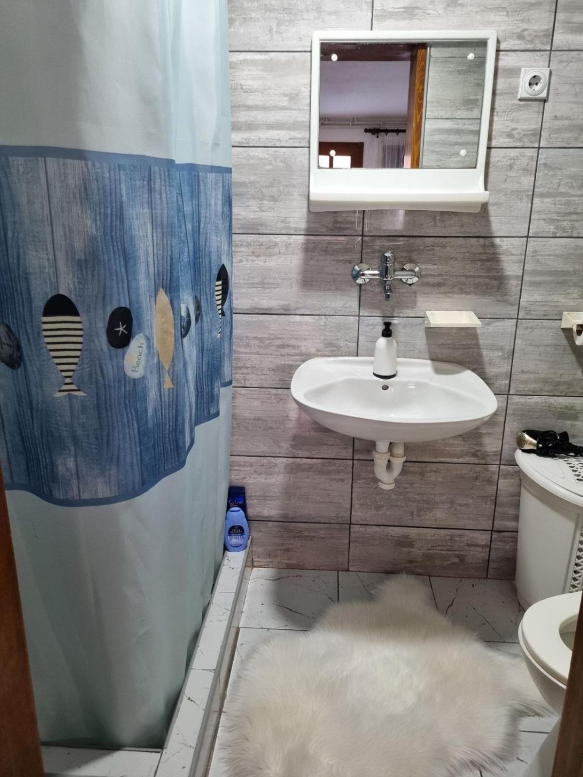 Family Apartmani Le Leskovac  Szoba fotó
